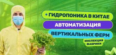 Embedded thumbnail for Гидропоника в Китае: Сколько стоит запустить вертикальную ферму в Китае?